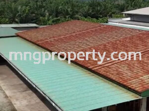 1 Acre Detached Factory For Sale (Olak Lempit, Banting, Kuala Langat, Jenjarom) - Image 5